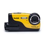 Kodak WP1